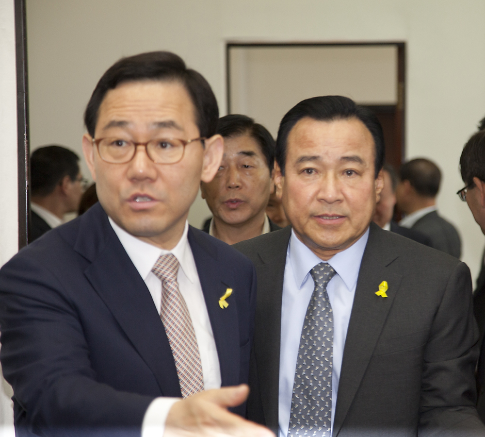 정치/정당/새누리당/비상대책위원회