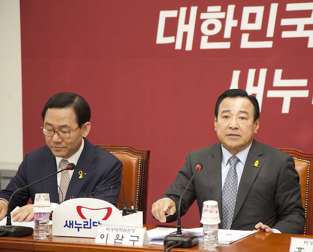정치/정당/새누리당/비상대책위원회