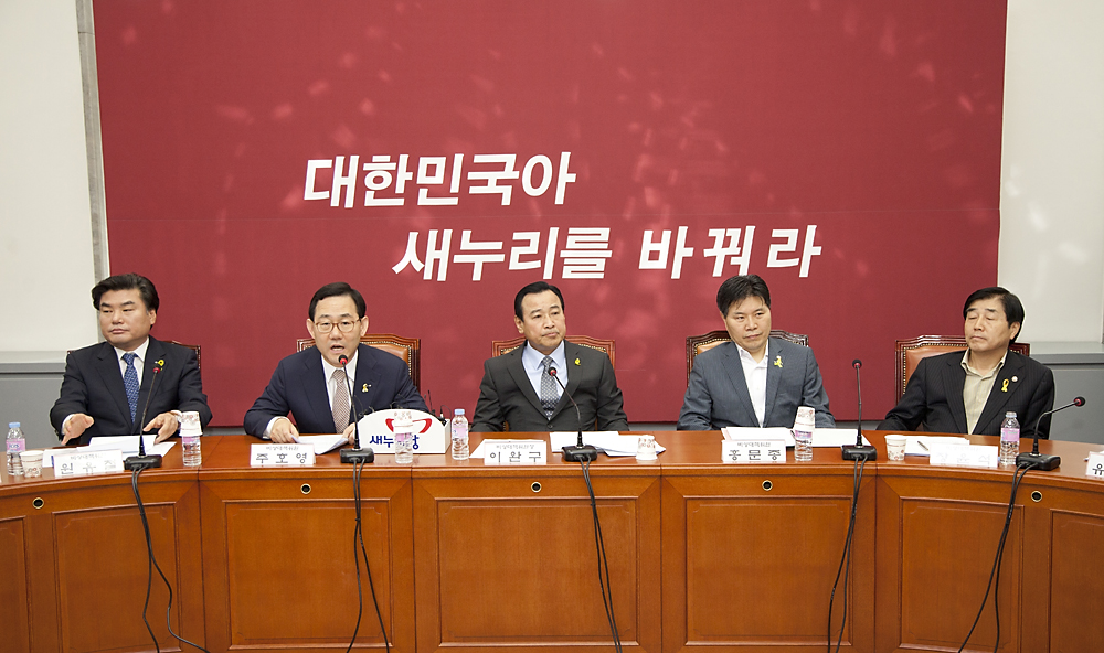 정치/정당/새누리당/비상대책위원회