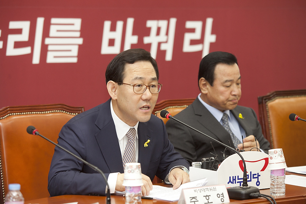 정치/정당/새누리당/비상대책위원회