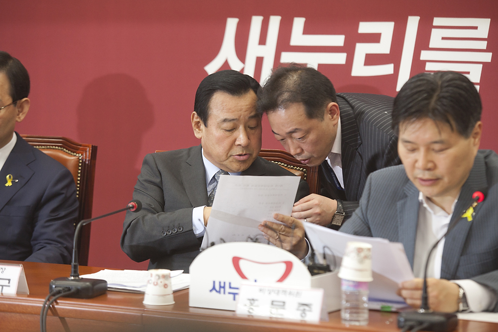 정치/정당/새누리당/비상대책위원회