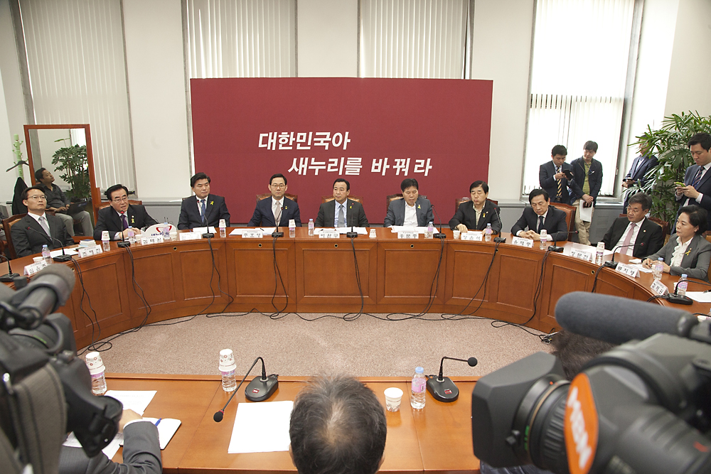 정치/정당/새누리당/비상대책위원회