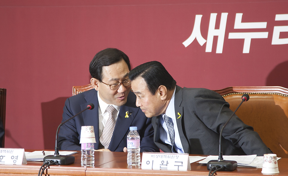 정치/정당/새누리당/비상대책위원회