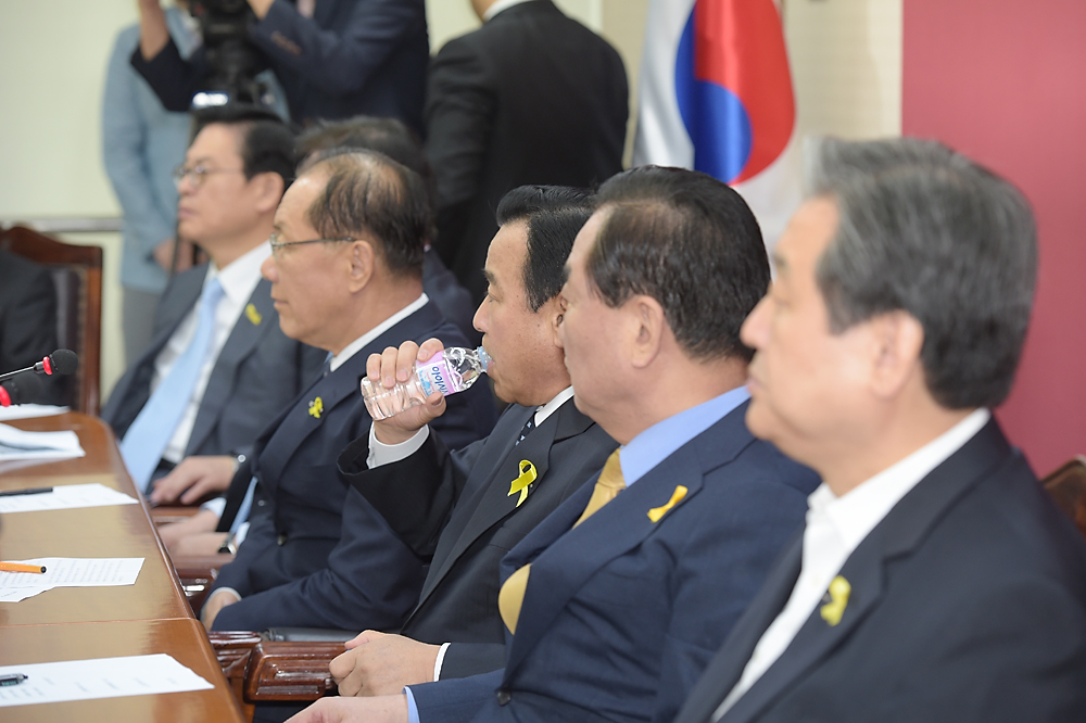 정치/정당/새누리당/중앙선거대책위원회