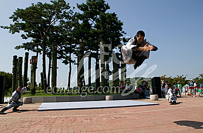 oriental martial arts/Korea Traditional Performing Arts fastival