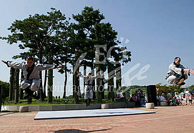 oriental martial arts/Korea Traditional Performing Arts fastival