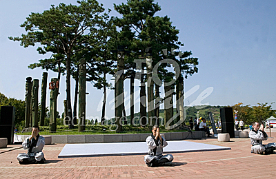 oriental martial arts/Korea Traditional Performing Arts fastival