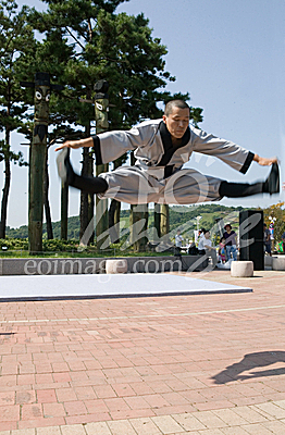 oriental martial arts/Korea Traditional Performing Arts fastival