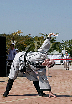 oriental martial arts/Korea Traditional Performing Arts fastival