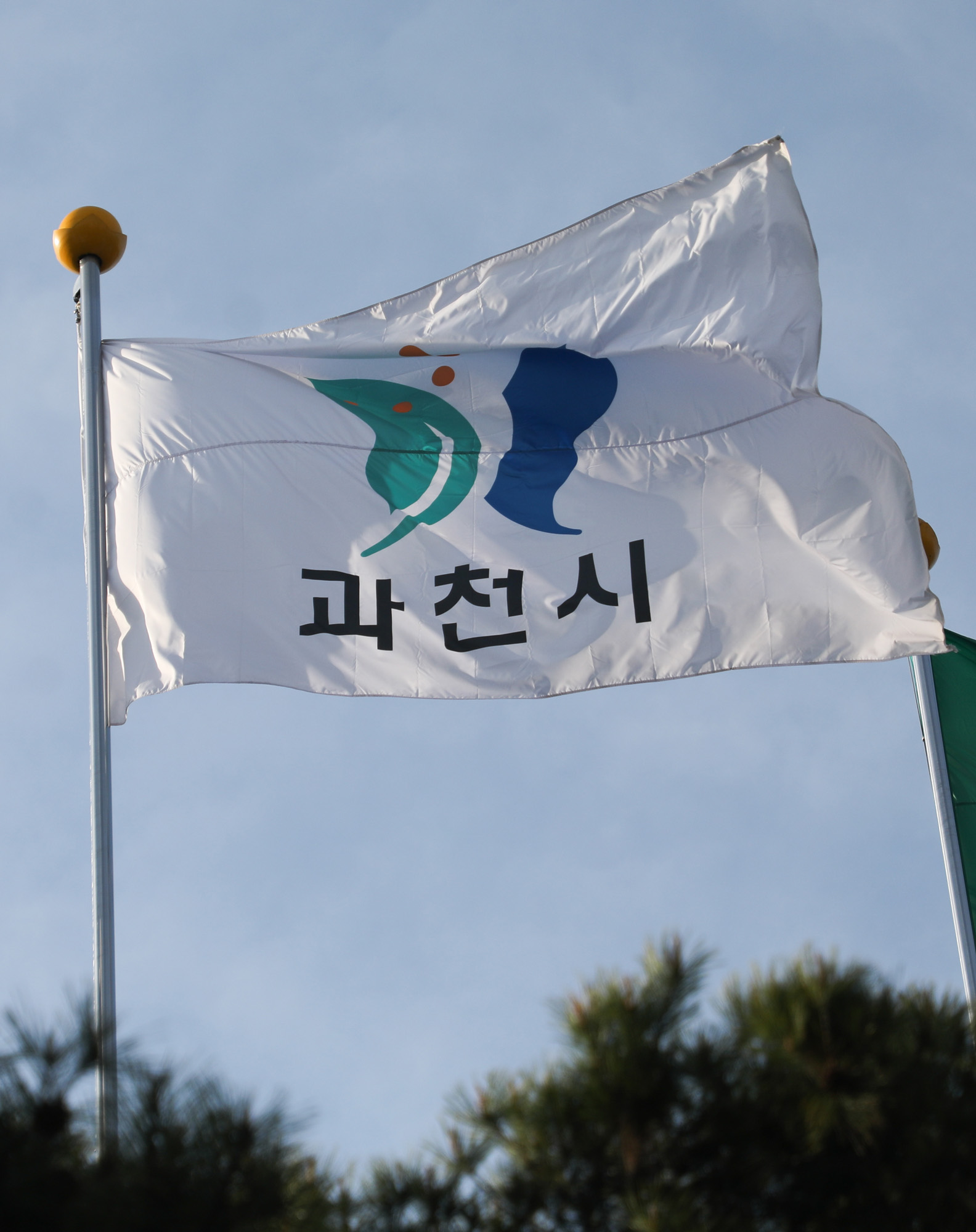 과천;과천시청