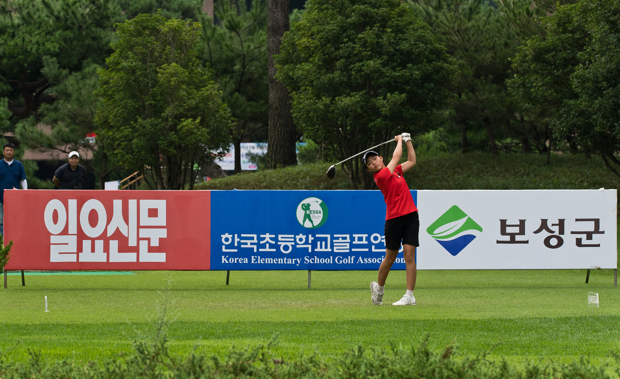 스포츠;골프;일요신문;일요신문골프꿈나무대잔치;제16회한국초등골프연맹회장배 전국학생골프대;일요신문초등골프대회