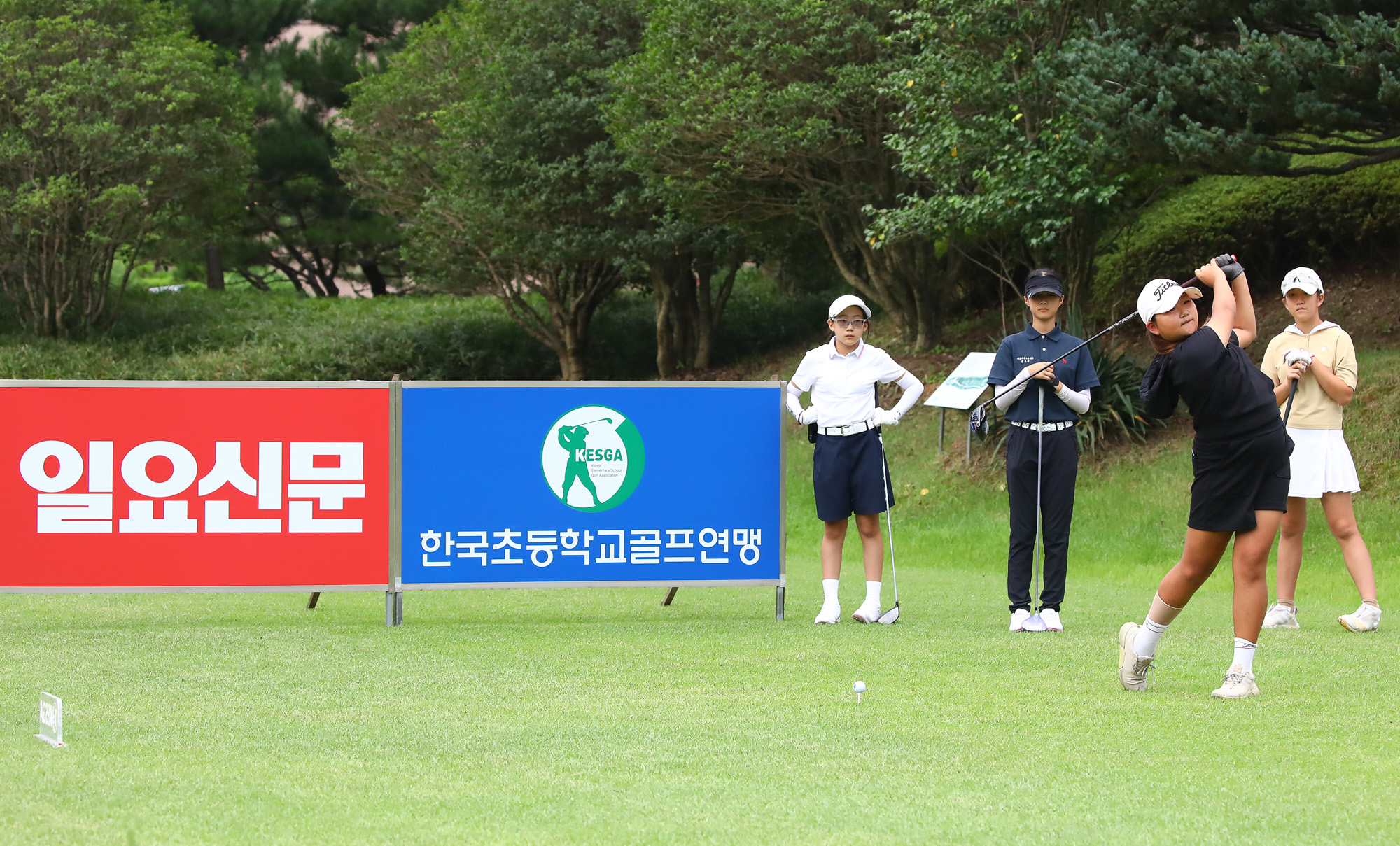 일요신문;골프 꿈나무;한국초등학교;골프연맹회장배;전국학생골프대회