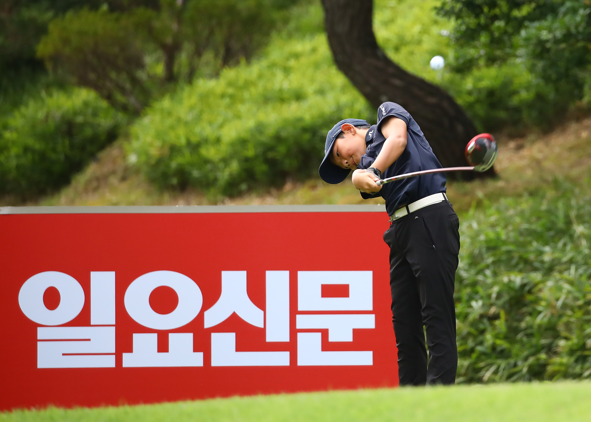 일요신문;골프 꿈나무;한국초등학교;골프연맹회장배;전국학생골프대회