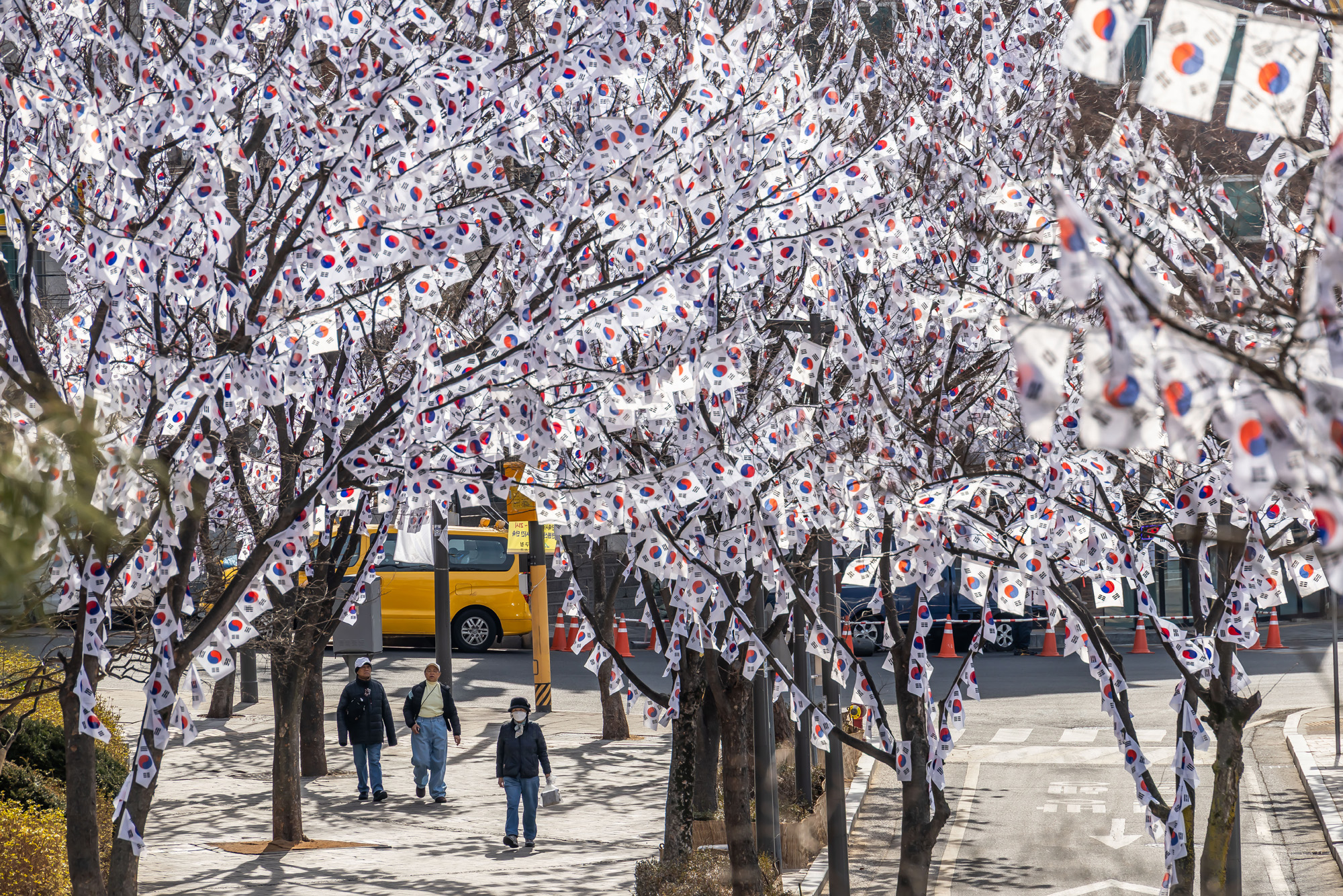 사회;공휴일;역사;3.1절;삼일절;삼일절태극기거리;효창공원태극기거리;3.1절태극기거리