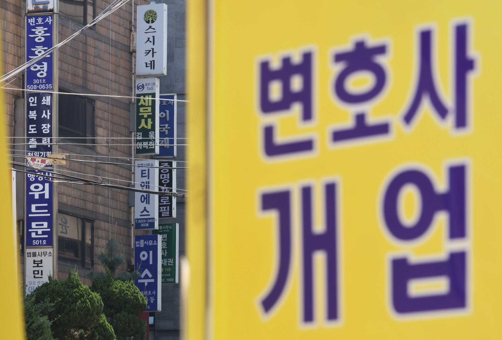 정치;사회;변호사사무소;서초동변호사;세무사;세무법인;세무회계사무소간판;변호사간판