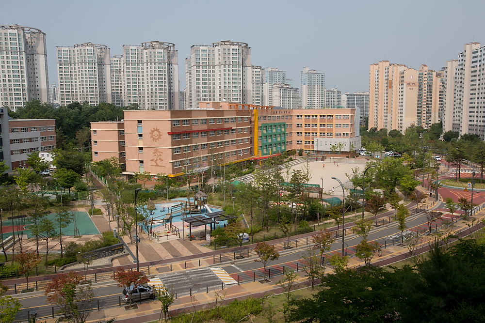 사회/교육/파주해솔초등학교/해솔초등학교/기린