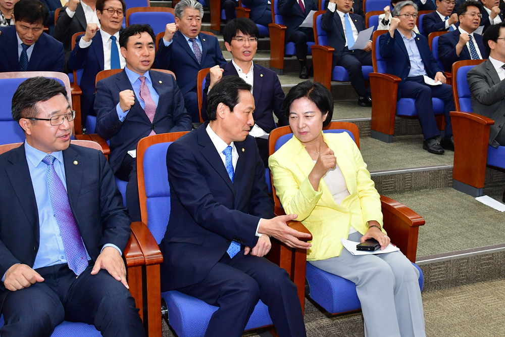 정치/국회/더민주당/더불어민주당/의원총회/추